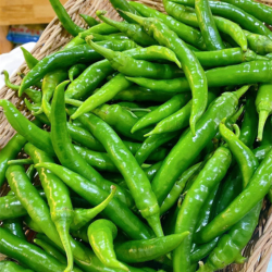 Green Chili /冷凍青唐辛子 / Ot xanh @250g