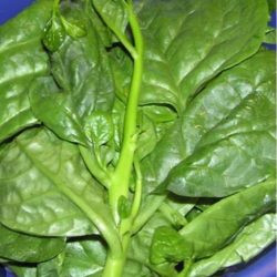 rau mồng tơi /Malabar spinach 200g